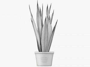 Decorative potted plant 02 Modelo 3D
