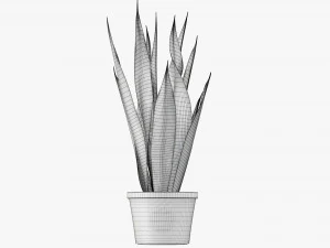 Decorative potted plant 02 3D Model