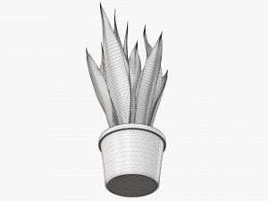 Decorative potted plant 02 Modelo 3D