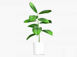 Decorative potted plant 03 3D Model