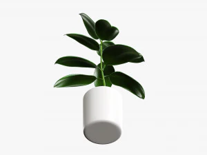 Decorative potted plant 03 3D Model