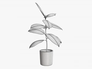 Decorative potted plant 03 3D Model