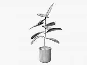 Decorative potted plant 03 3D Model