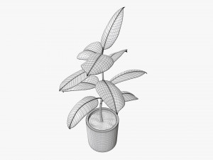 Decorative potted plant 03 Modelo 3D