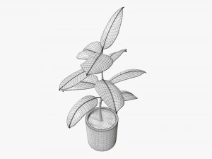 Decorative potted plant 03 3D Model
