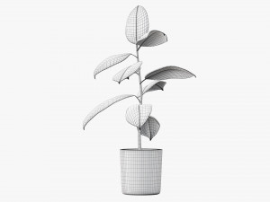 Decorative potted plant 03 Modelo 3D