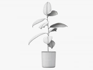 Decorative potted plant 03 3D Model