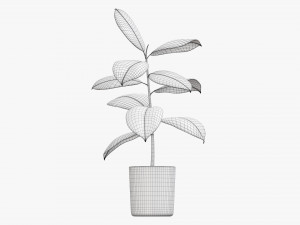 Decorative potted plant 03 Modelo 3D