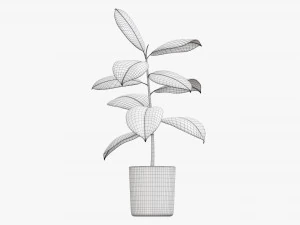 Decorative potted plant 03 3D Model