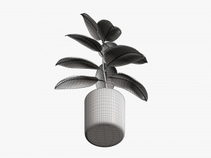 Decorative potted plant 03 Modelo 3D