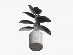 Decorative potted plant 03 3D Model