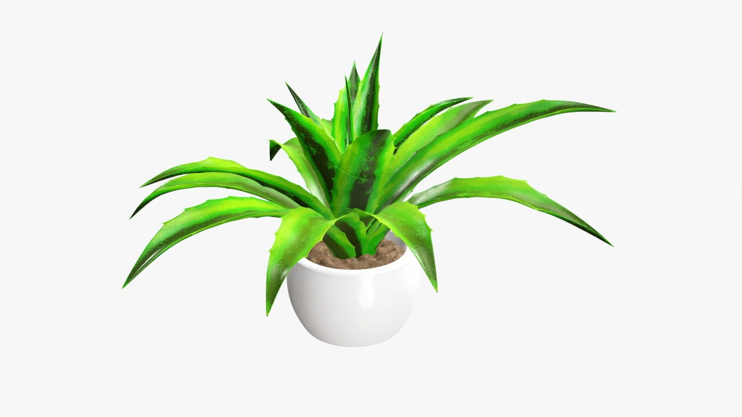 Decorative potted plant 04 3D Model .c4d .max .obj .3ds .fbx .stl .blend