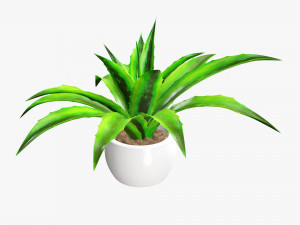 Decorative potted plant 04 Modelo 3D