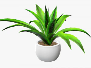 Decorative potted plant 04 3D Model