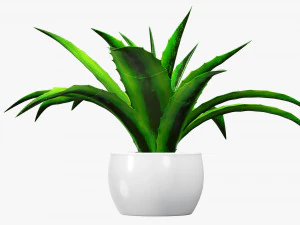 Decorative potted plant 04 3D Model