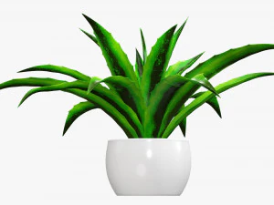 Decorative potted plant 04 3D Model