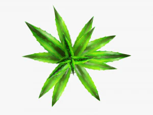 Decorative potted plant 04 3D Model