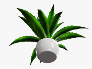 Decorative potted plant 04 3D Model