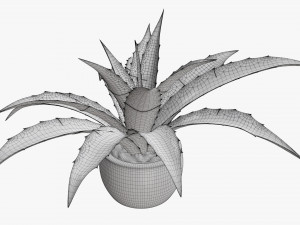 Decorative potted plant 04 Modelo 3D