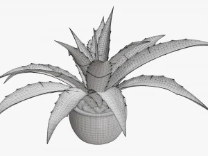 Decorative potted plant 04 3D Model