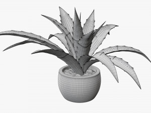 Decorative potted plant 04 Modelo 3D