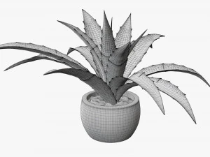 Decorative potted plant 04 3D Model