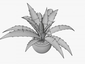 Decorative potted plant 04 Modelo 3D