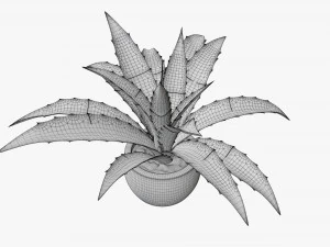 Decorative potted plant 04 3D Model