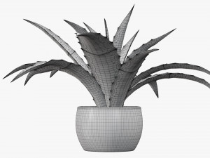 Decorative potted plant 04 Modelo 3D