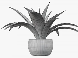Decorative potted plant 04 3D Model
