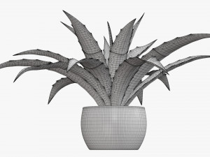 Decorative potted plant 04 Modelo 3D