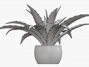 Decorative potted plant 04 3D Model