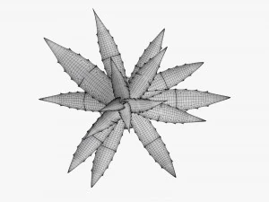 Decorative potted plant 04 3D Model