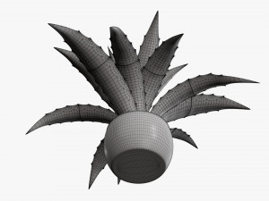 Decorative potted plant 04 Modelo 3D