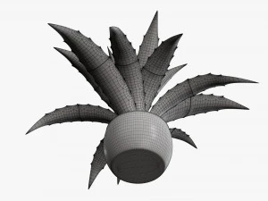 Decorative potted plant 04 3D Model
