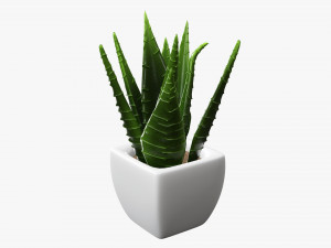 Decorative potted plant 05 3Dモデル