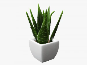 Decorative potted plant 05 3D Model