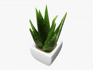 Decorative potted plant 05 3D Model