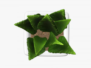 Decorative potted plant 05 3D Model