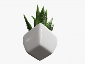 Decorative potted plant 05 3D Model