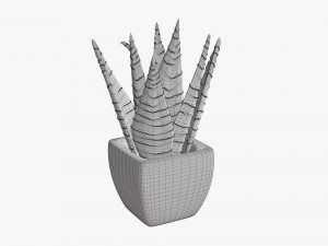 Decorative potted plant 05 3Dモデル
