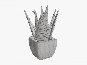 Decorative potted plant 05 3D Model