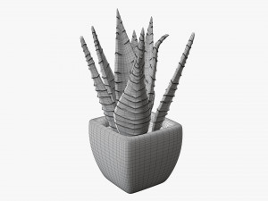 Decorative potted plant 05 3Dモデル