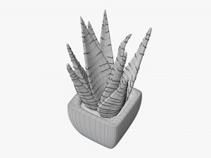 Decorative potted plant 05 3Dモデル