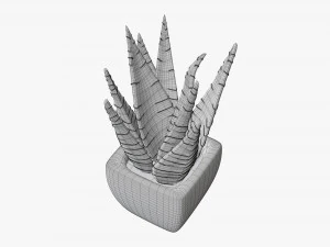 Decorative potted plant 05 3D Model