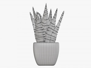 Decorative potted plant 05 3Dモデル