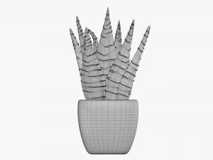 Decorative potted plant 05 3D Model