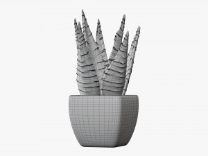 Decorative potted plant 05 3Dモデル