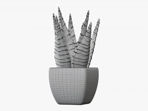 Decorative potted plant 05 3D Model