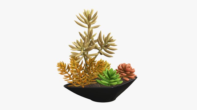 Decorative potted plant 06 3D Model .c4d .max .obj .3ds .fbx .stl .blend 